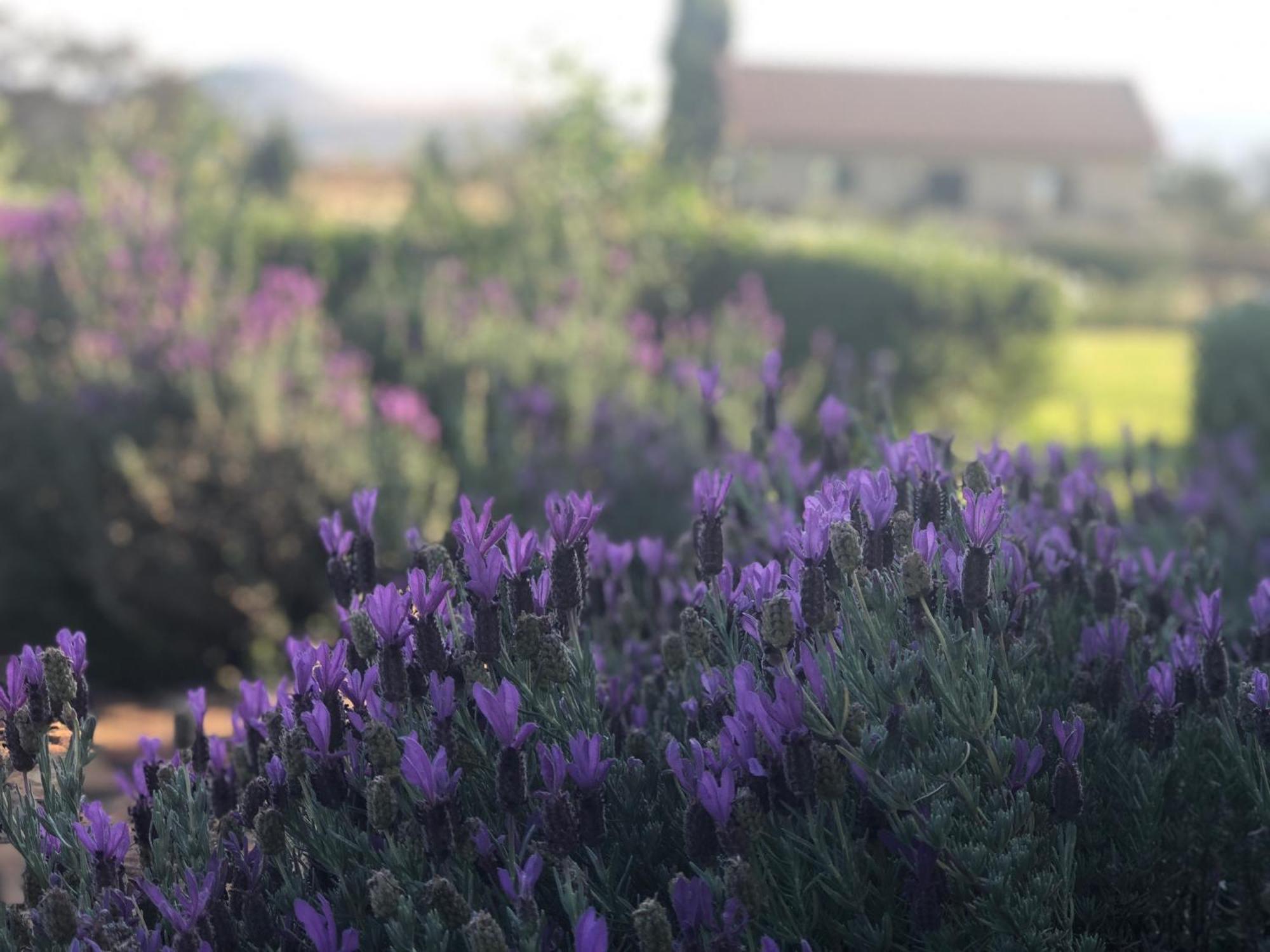 Villa Mount High Luxury Country Estate Lydenburg