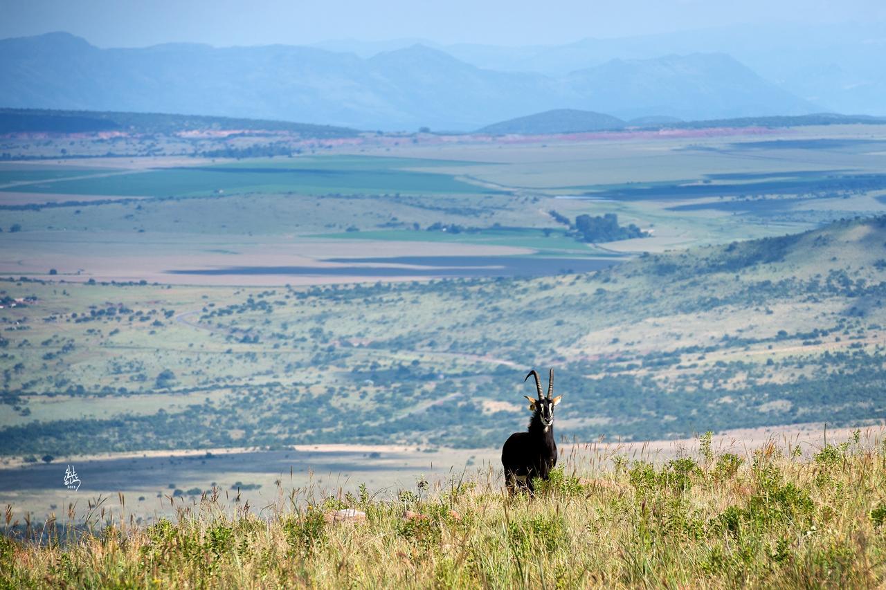Mount High Luxury Country Estate Lydenburg