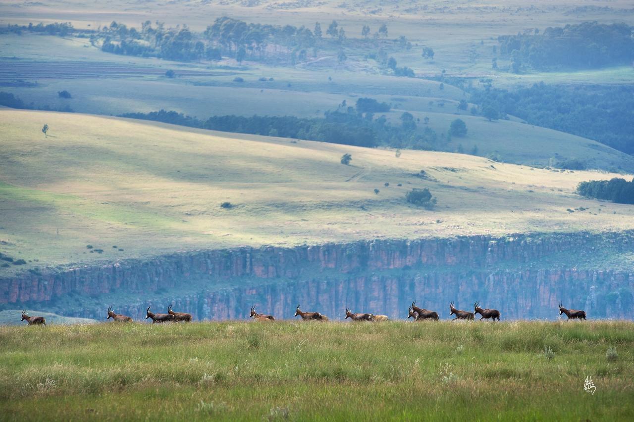 Mount High Luxury Country Estate Lydenburg